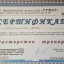 Ирина Алекминская 3
