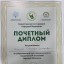 Светлана Бочкарникова 4