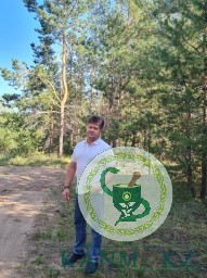 Олег Киселев